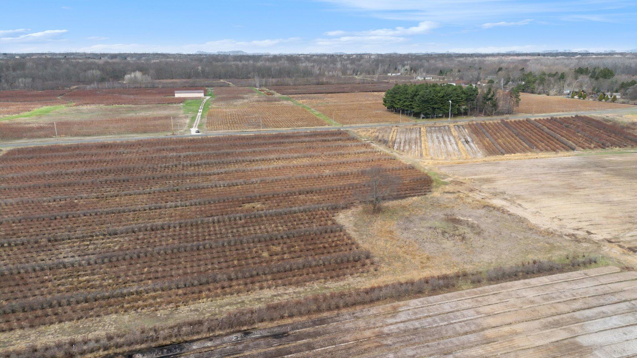 45601 72nd Street Covert, MI 49043 - Photo 11 of 23 010_file_4814