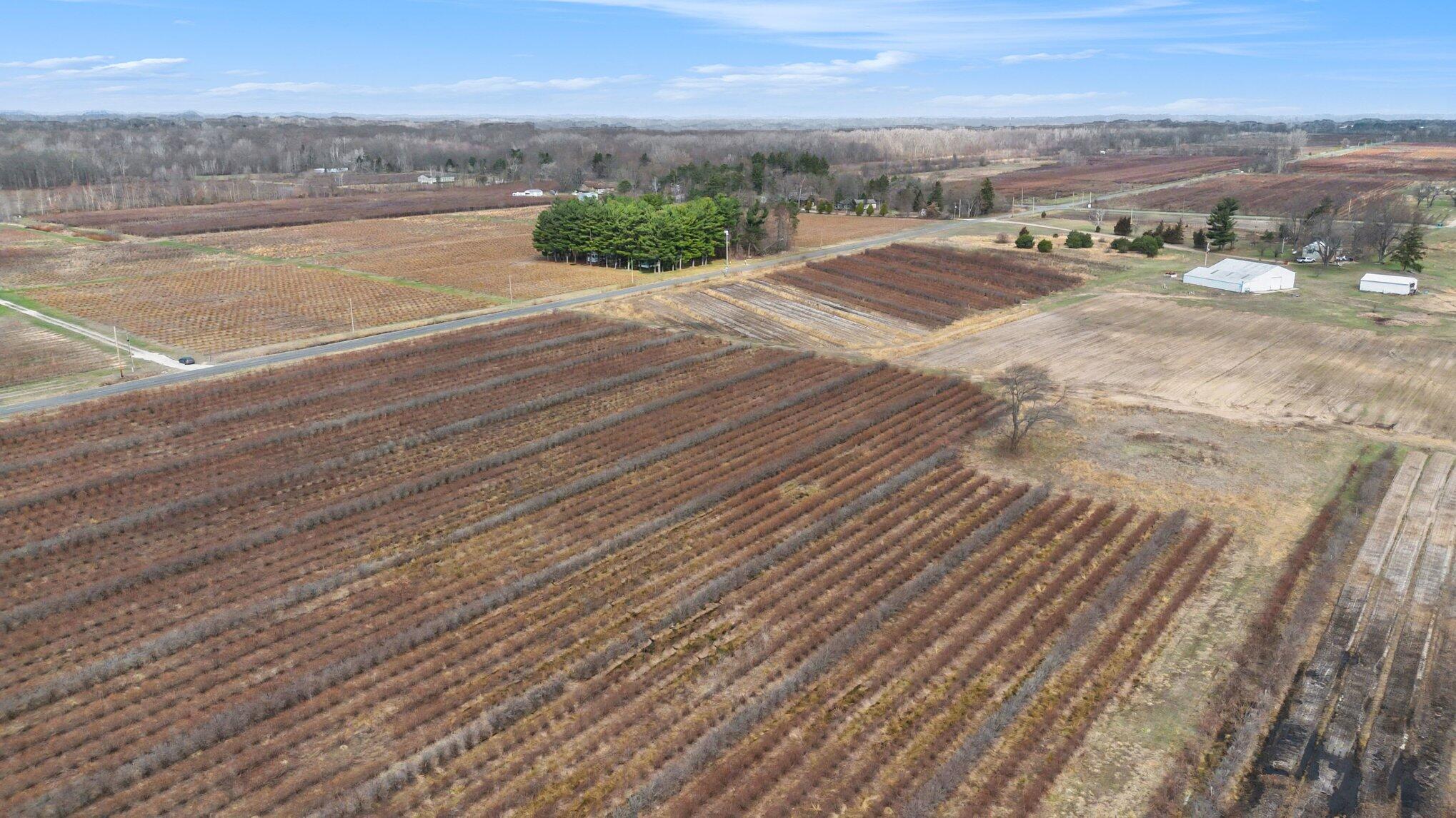 45601 72nd Street Covert, MI 49043 - Photo 12 of 23 011_file_1554