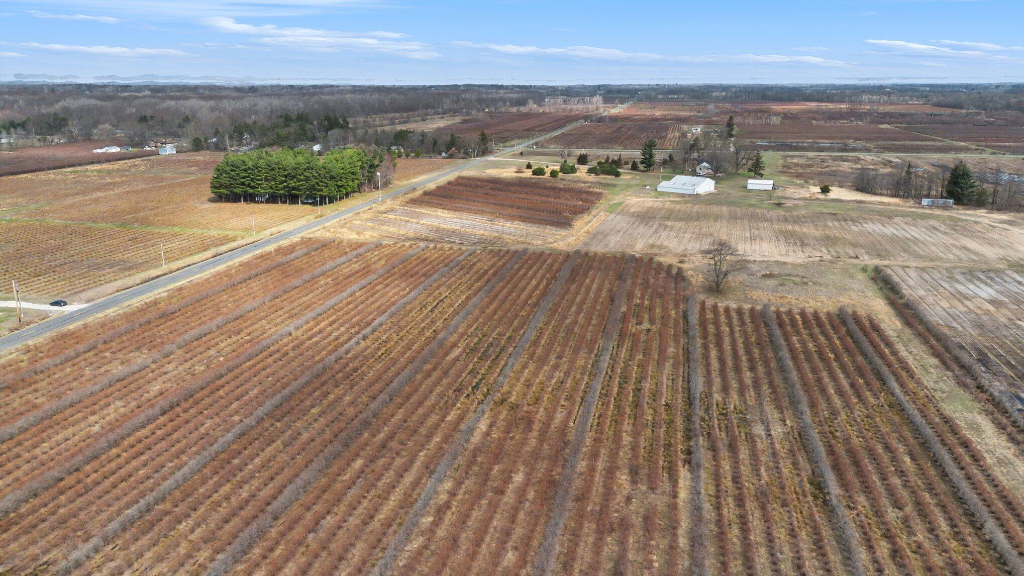45601 72nd Street Covert, MI 49043 - Photo 13 of 23 012_file_4981