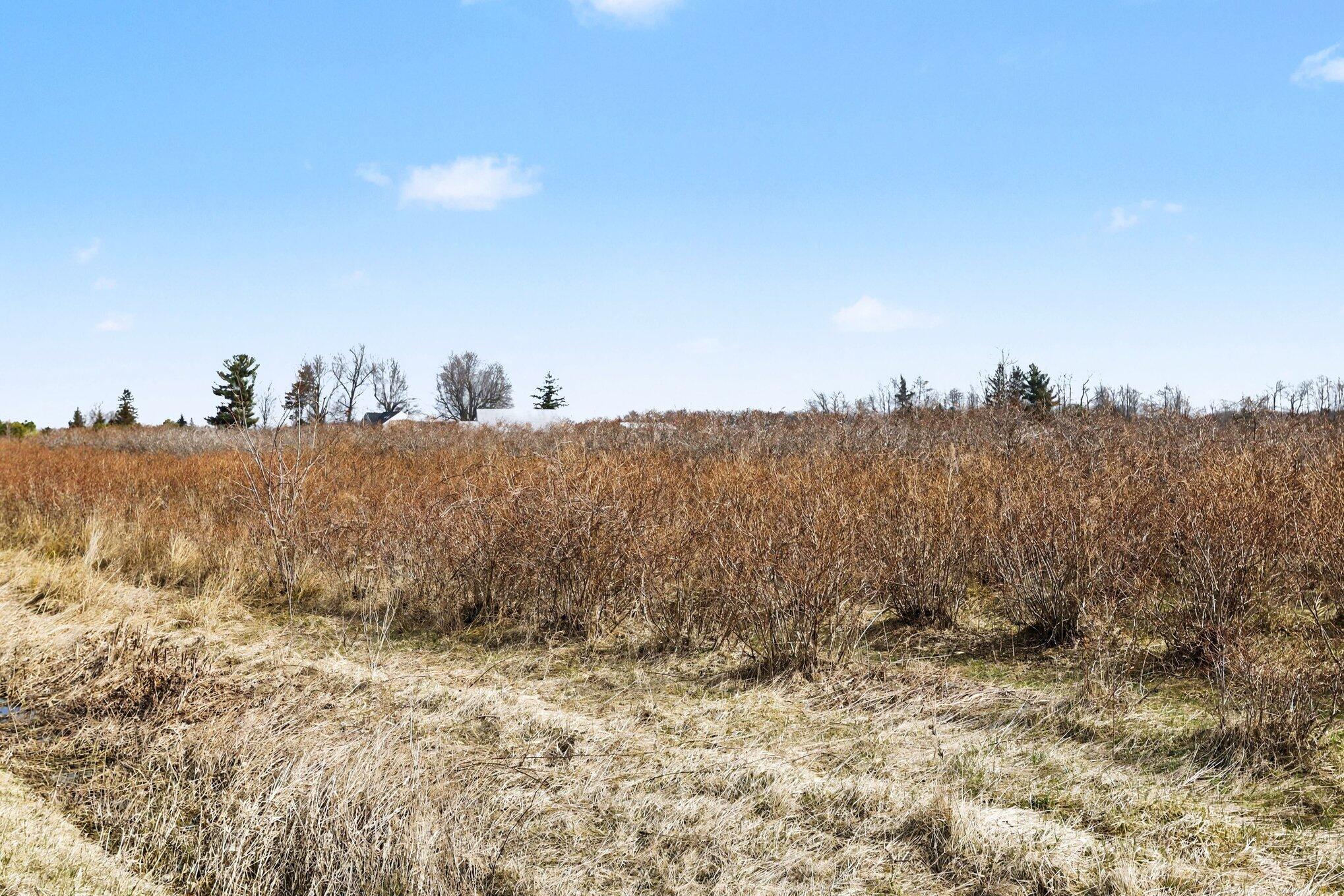 45601 72nd Street Covert, MI 49043 - Photo 3 of 23 002_file_3014