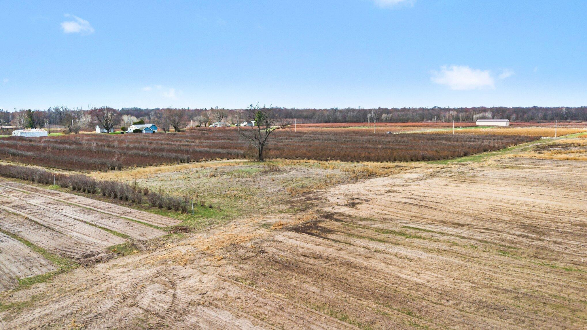 45601 72nd Street Covert, MI 49043 - Photo 5 of 23 004_file_3327
