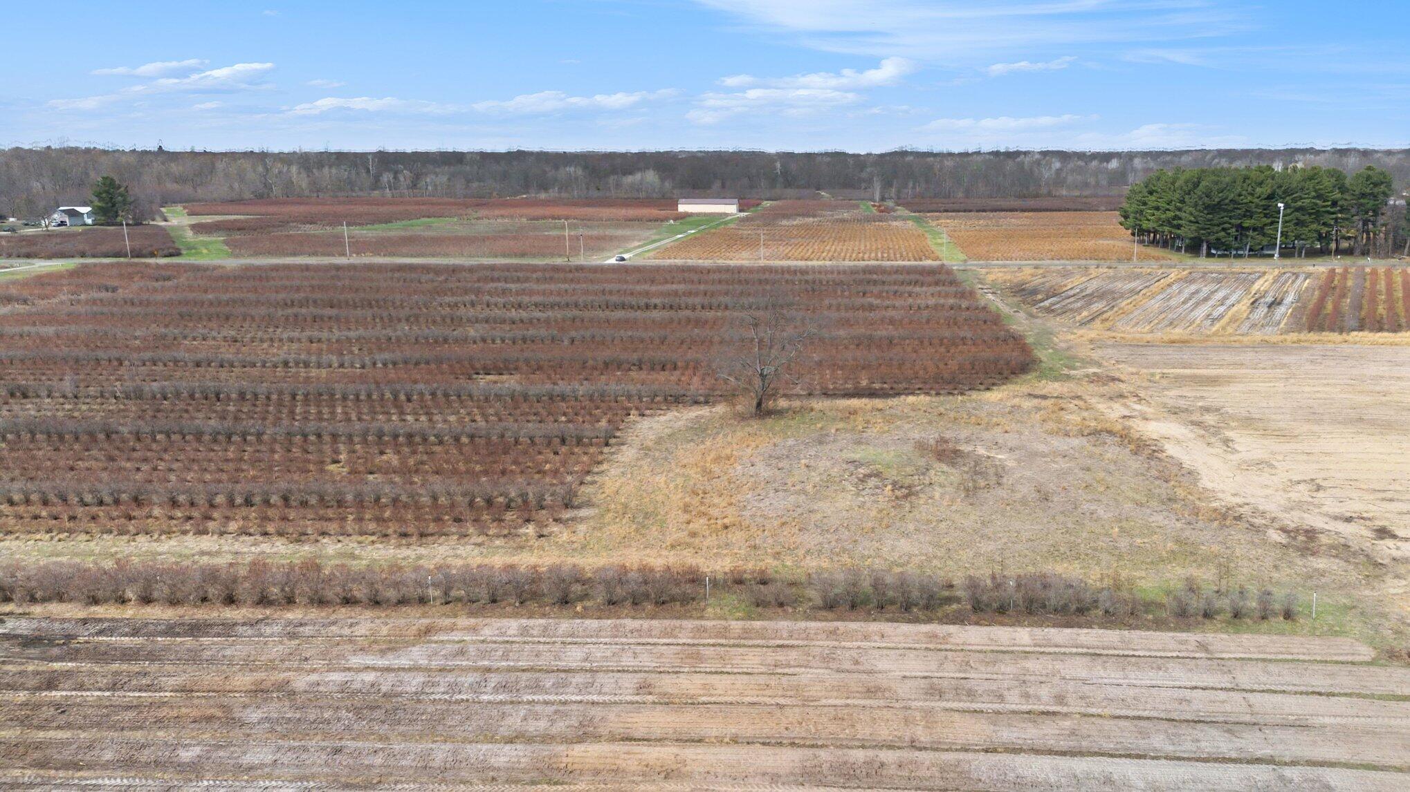 45601 72nd Street Covert, MI 49043 - Photo 10 of 23 009_file_8457