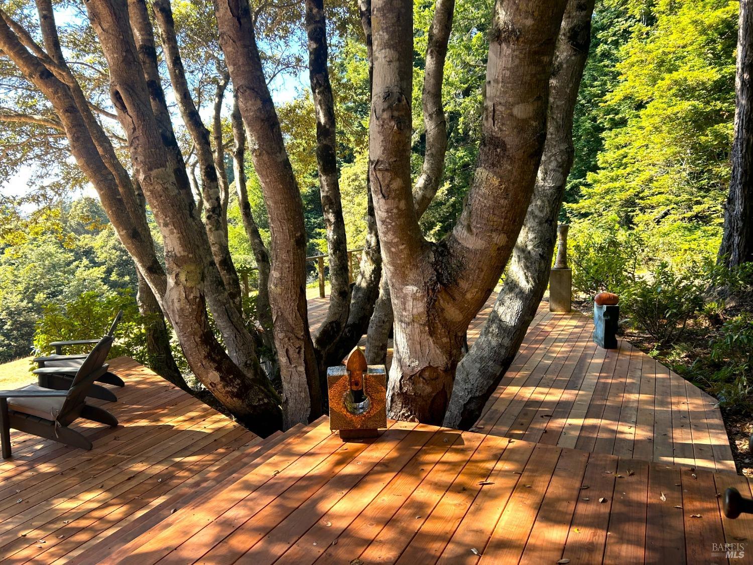 241 Moonraker Road The Sea Ranch, CA 95497 - Photo 48 of 55