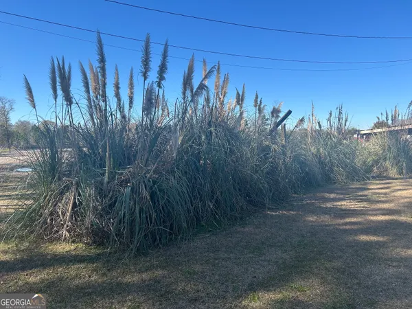 a view of a backyard of the house