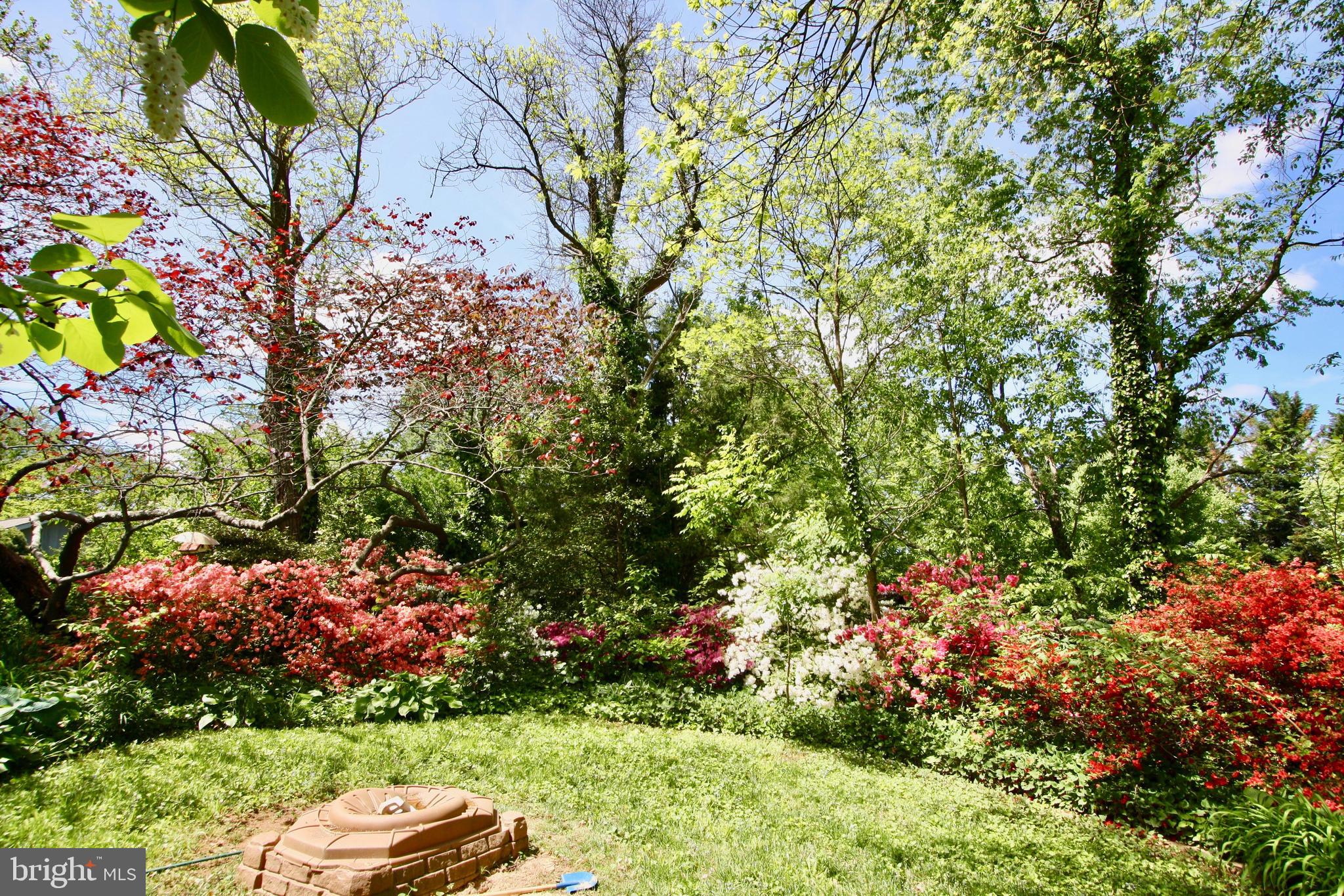 11628 Glen Road Potomac, MD 20854 - Photo 17 of 27 Gallery Image 17