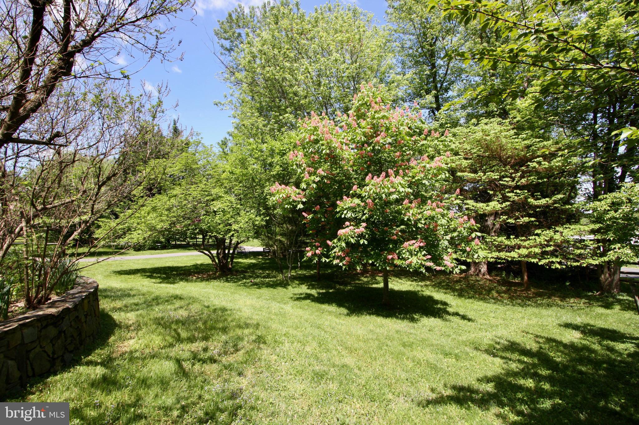 11628 Glen Road Potomac, MD 20854 - Photo 20 of 27 Gallery Image 20