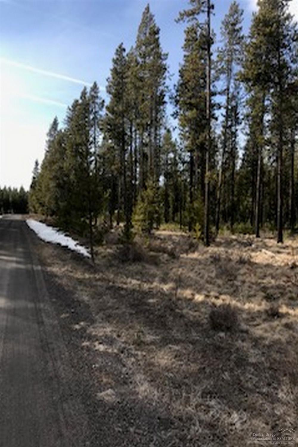 16950 Torrance Road Bend, OR 97707 - Photo 1 of 10 Primary Photo