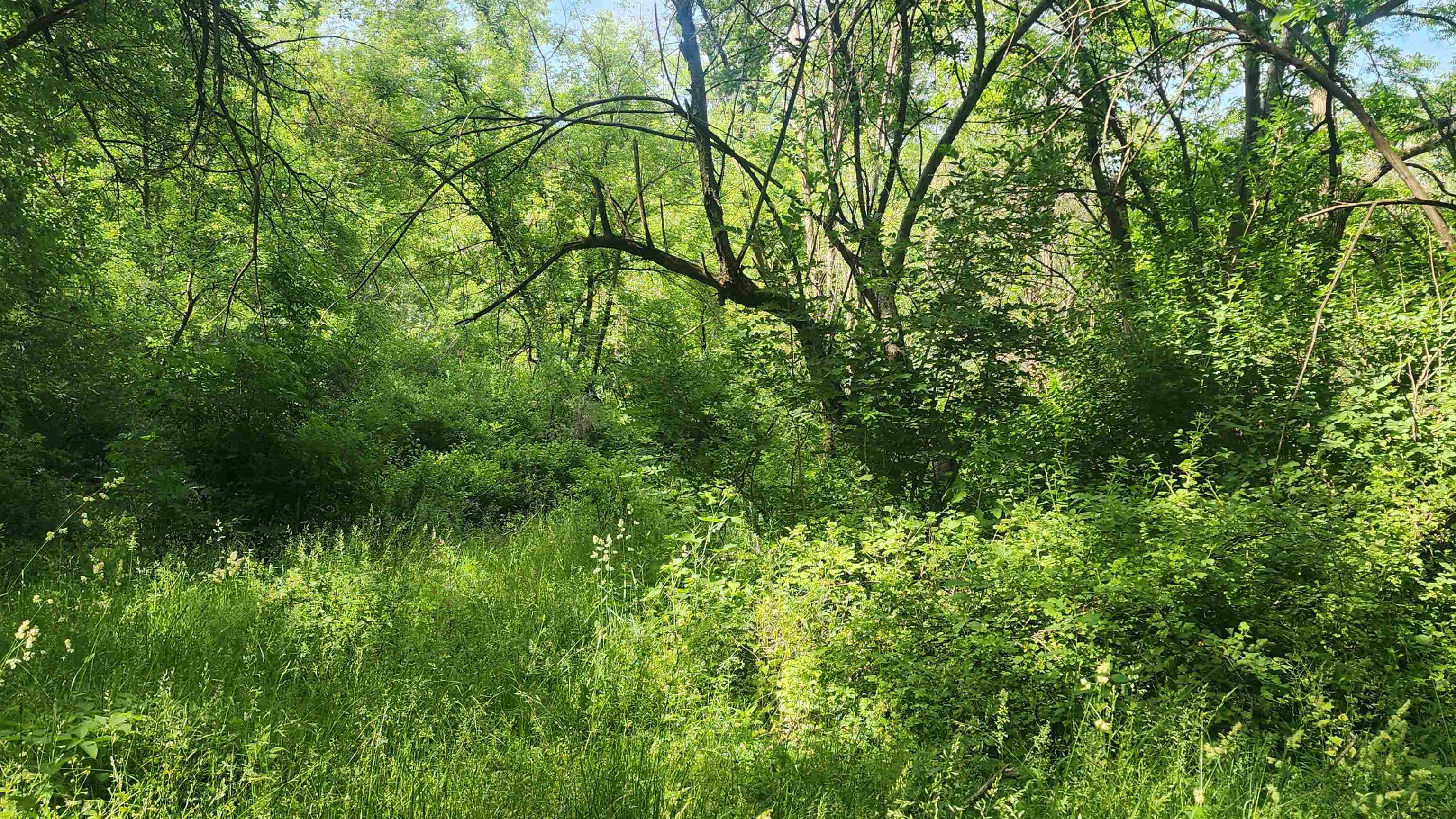 0 Shortcut Seneca, WI 54654 - Photo 14 of 22