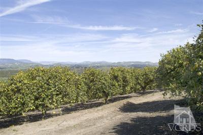 0 East Ventavo Road Moorpark, CA 93021 - Photo 1 of 7 Primary Photo