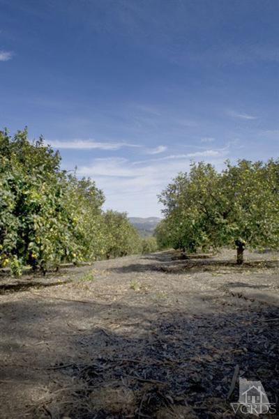 0 East Ventavo Road Moorpark, CA 93021 - Photo 2 of 7 Additional Photo