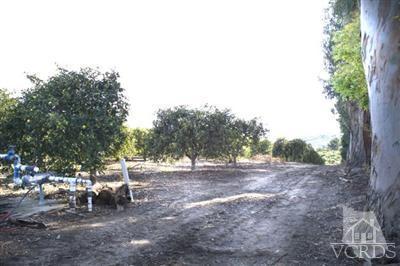 0 East Ventavo Road Moorpark, CA 93021 - Photo 7 of 7 Additional Photo