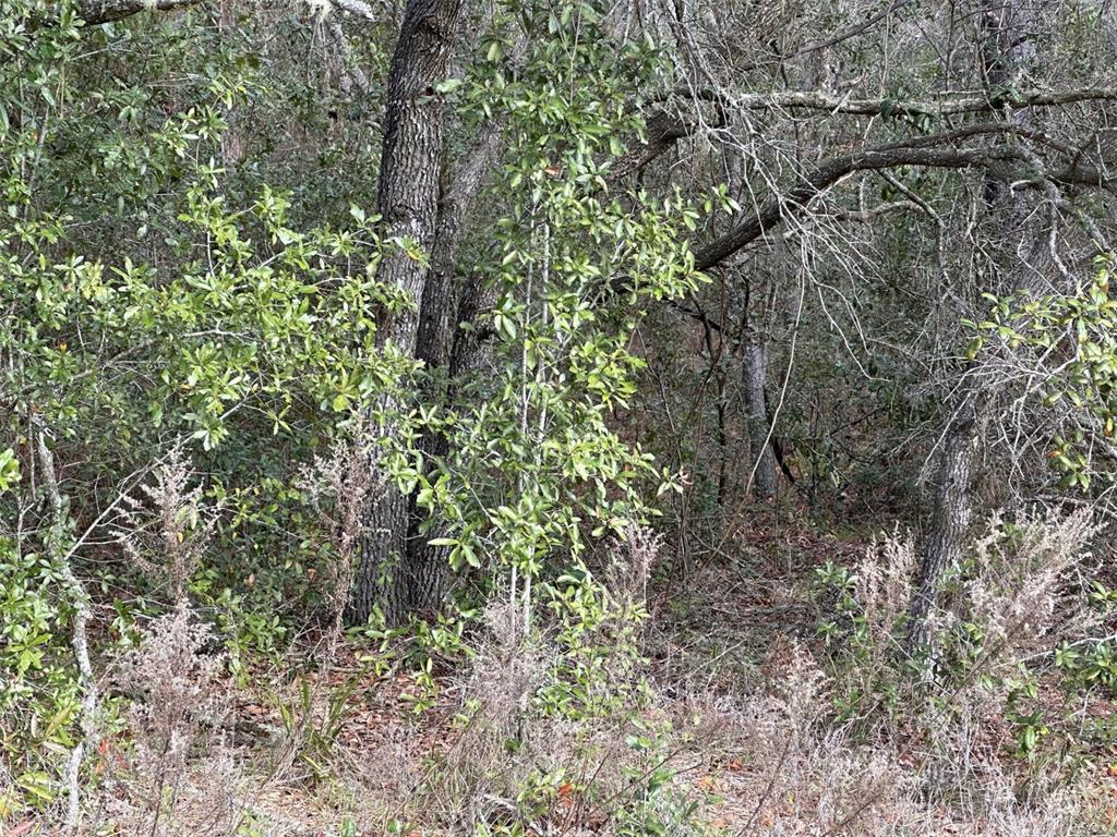 3922 North Longvalley Rd