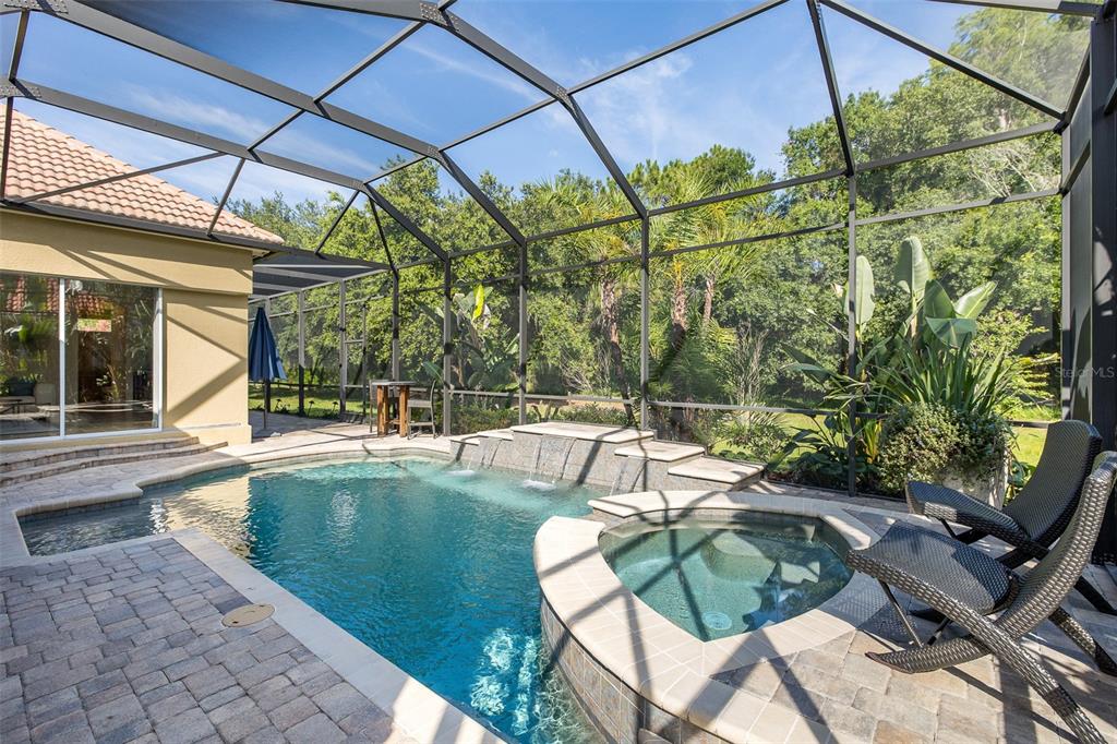 2880 Waters Edge Road Palm Harbor, FL 34685 - Photo 43 of 52