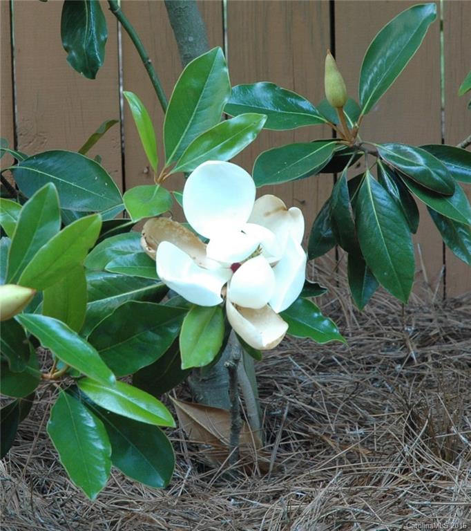 321 Brixham Place Fort Mill, SC 29708 - Photo 22 of 24 Gallery Image 22
