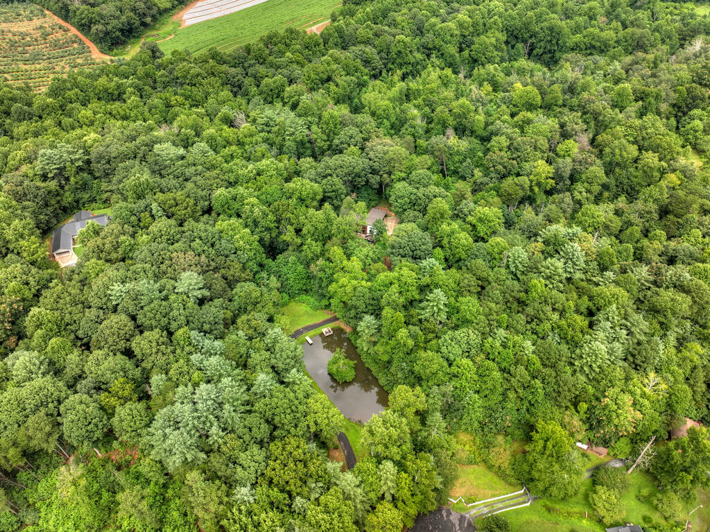 1009 Hefner Lake Road Ellijay, GA 30536 - Photo 69 of 93 Gallery Image 69