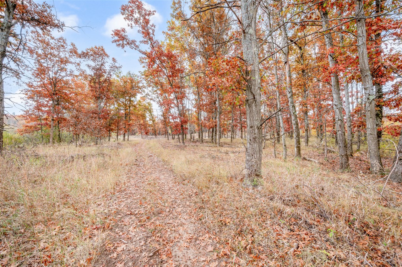 16 16 Mile Road Lakeview, MI 48850 - Photo 15 of 26
