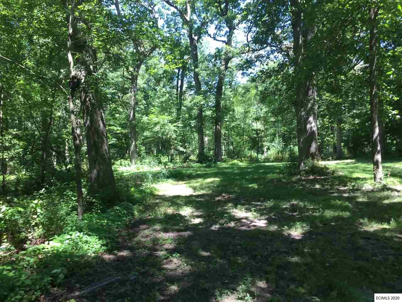 0 Monastery Road Peosta, IA 52068 - Photo 10 of 14 Gallery Image 10