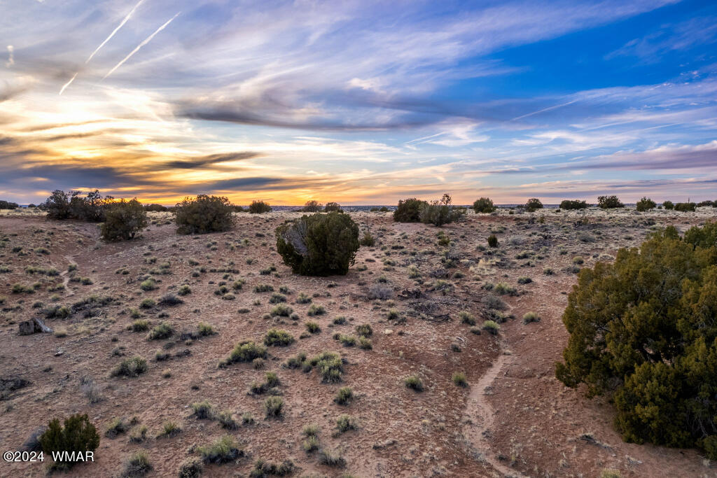 Lot 616 Woodridge Ranch, Unit 15 Concho, AZ 85924 - Photo 1 of 7