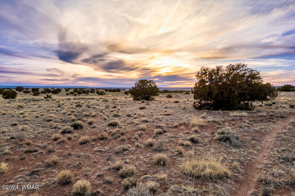 Lot 616 Woodridge Ranch, Unit 15 Concho, AZ 85924 - Photo 3 of 7