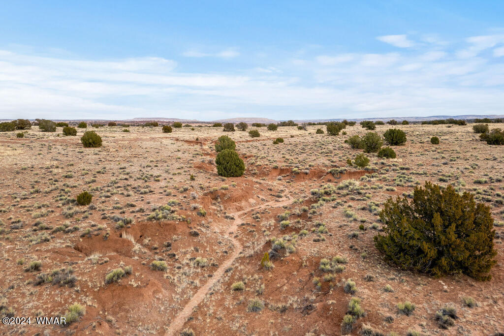 Lot 616 Woodridge Ranch, Unit 15 Concho, AZ 85924 - Photo 5 of 7