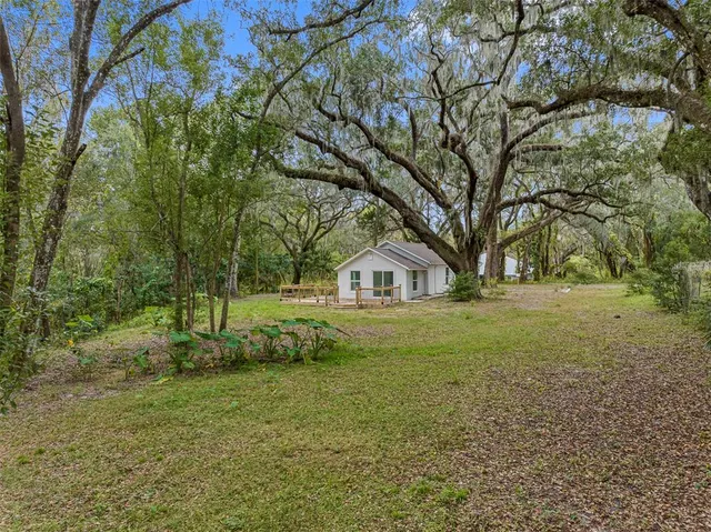 a yellow house in middle of the forest