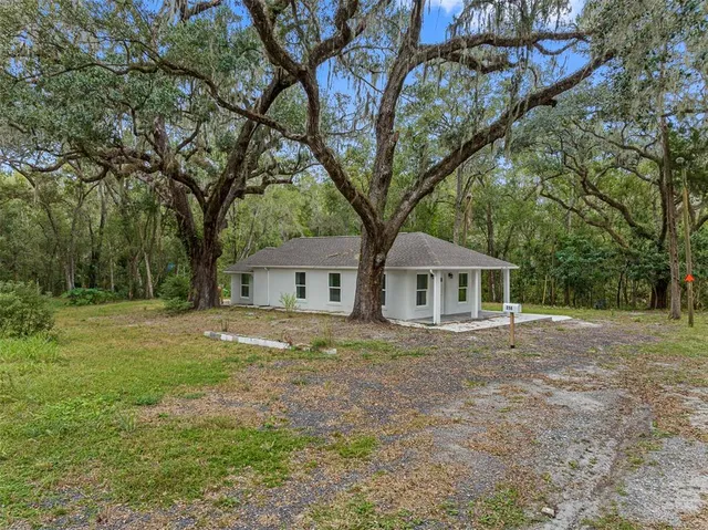 a big tree in middle of the garden