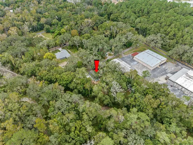 a view of a yard with a tree