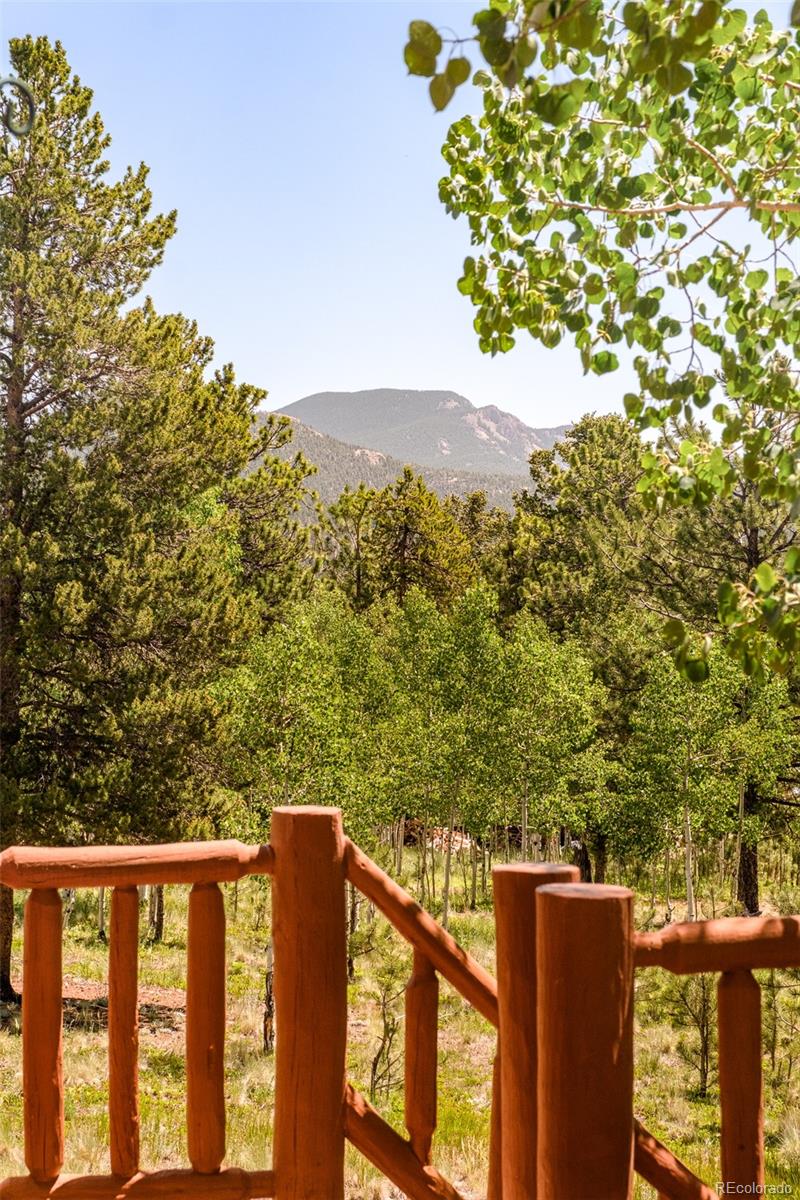 142 Summit Way Bailey, CO 80421 - Photo 33 of 41