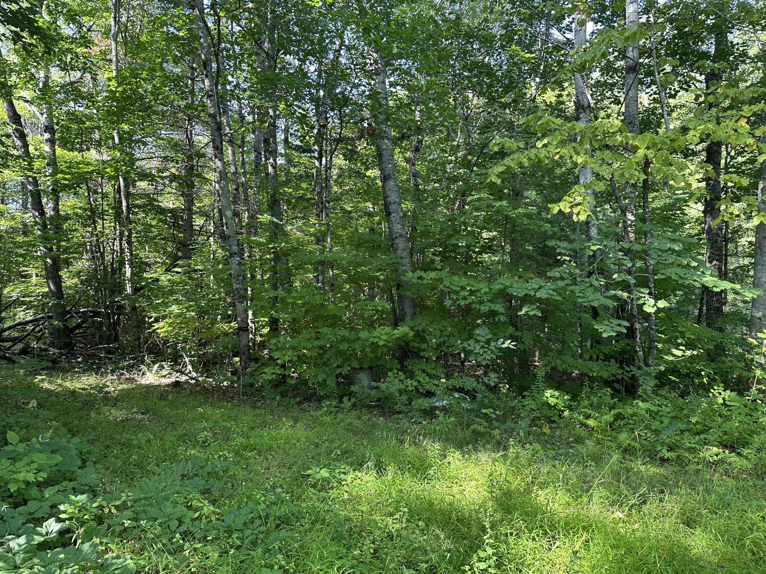 Map12-lot4 Starks Road New Sharon, ME 04955 - Photo 9 of 11 IMG_8943
