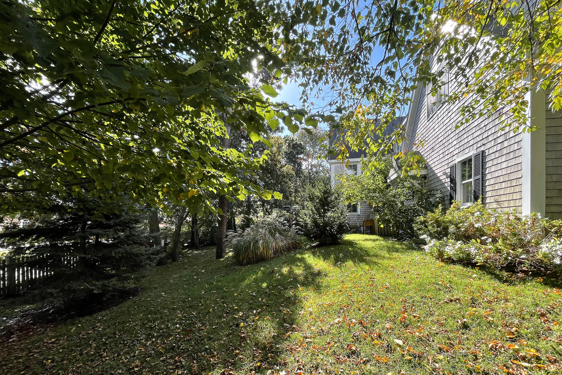 23 Forest Beach Rd Extension South Chatham, MA 02659 - Photo 10 of 43 a view of yard with small space