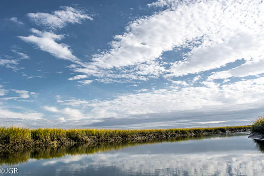 8412 Shell House Road Edisto Island, SC 29438 - Photo 13 of 13 DSC_1045
