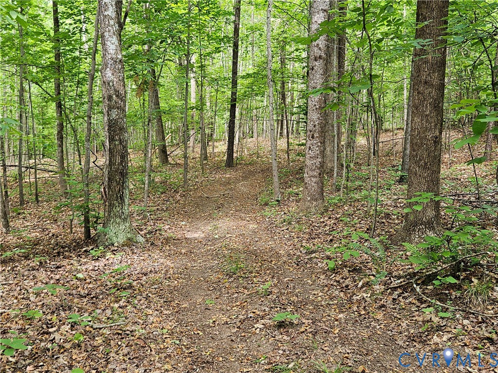 981 Scotts Bottom Road Dillwyn, VA 23936 - Photo 67 of 73 Gallery Image 67