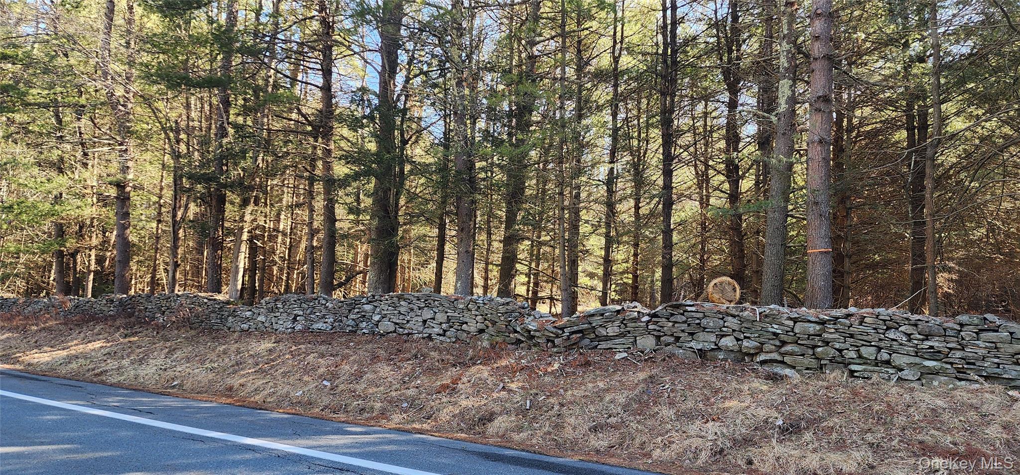 Stag Forest Road Forestburgh, NY 12777 - Photo 11 of 33 a view of a yard with a tree
