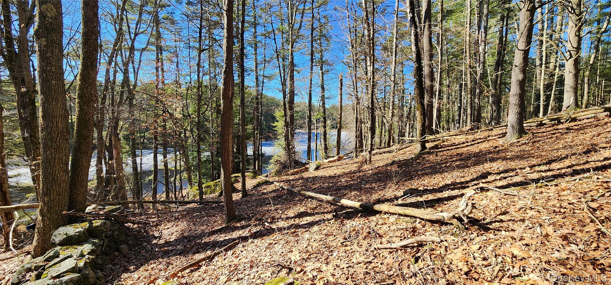 Stag Forest Road Forestburgh, NY 12777 - Photo 13 of 33 a view of a backyard with of the house