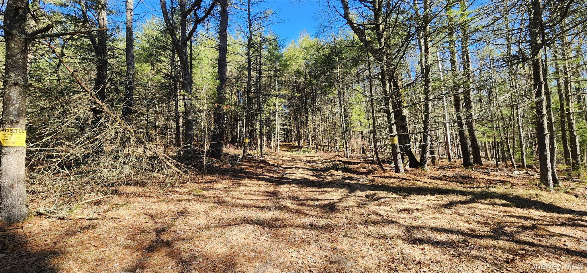 Stag Forest Road Forestburgh, NY 12777 - Photo 14 of 33 a view of a house with a yard