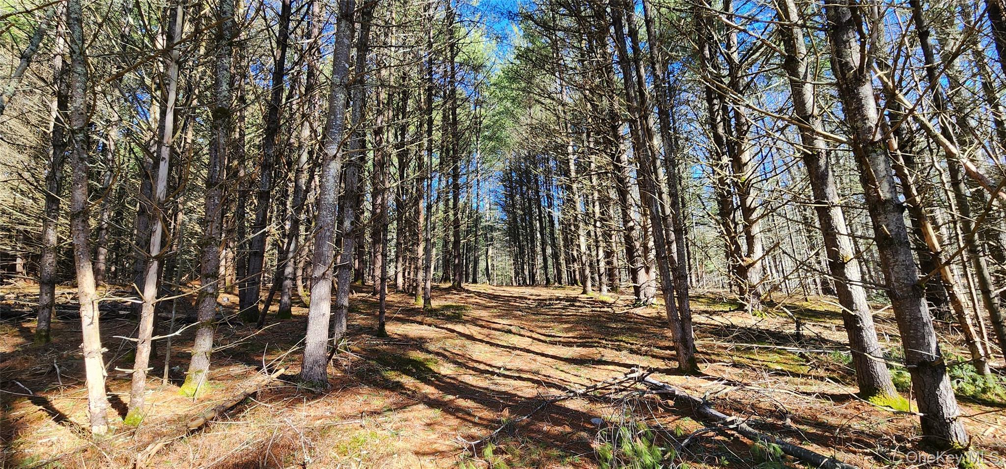 Stag Forest Road Forestburgh, NY 12777 - Photo 15 of 33 a view of outdoor space with seating area