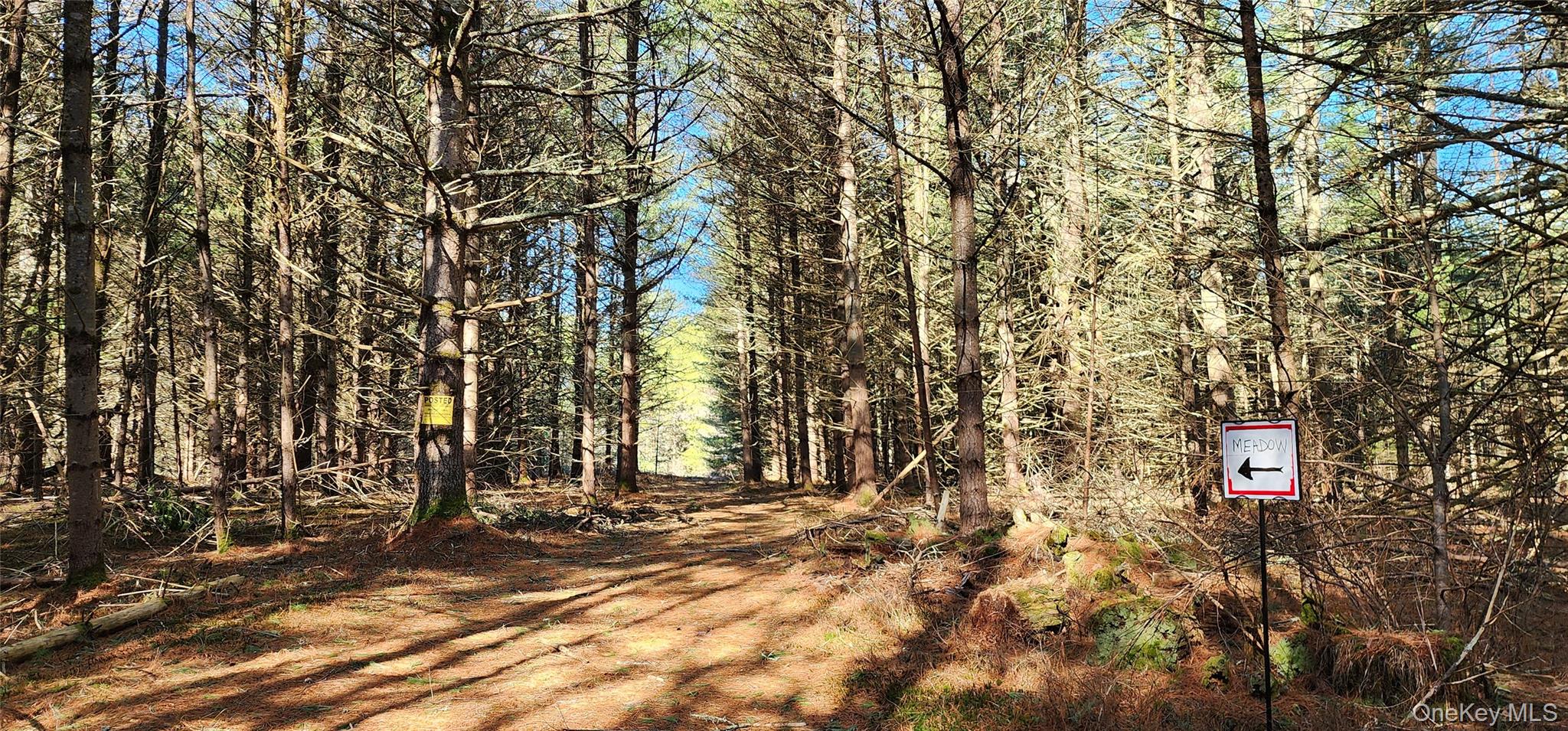 Stag Forest Road Forestburgh, NY 12777 - Photo 18 of 33