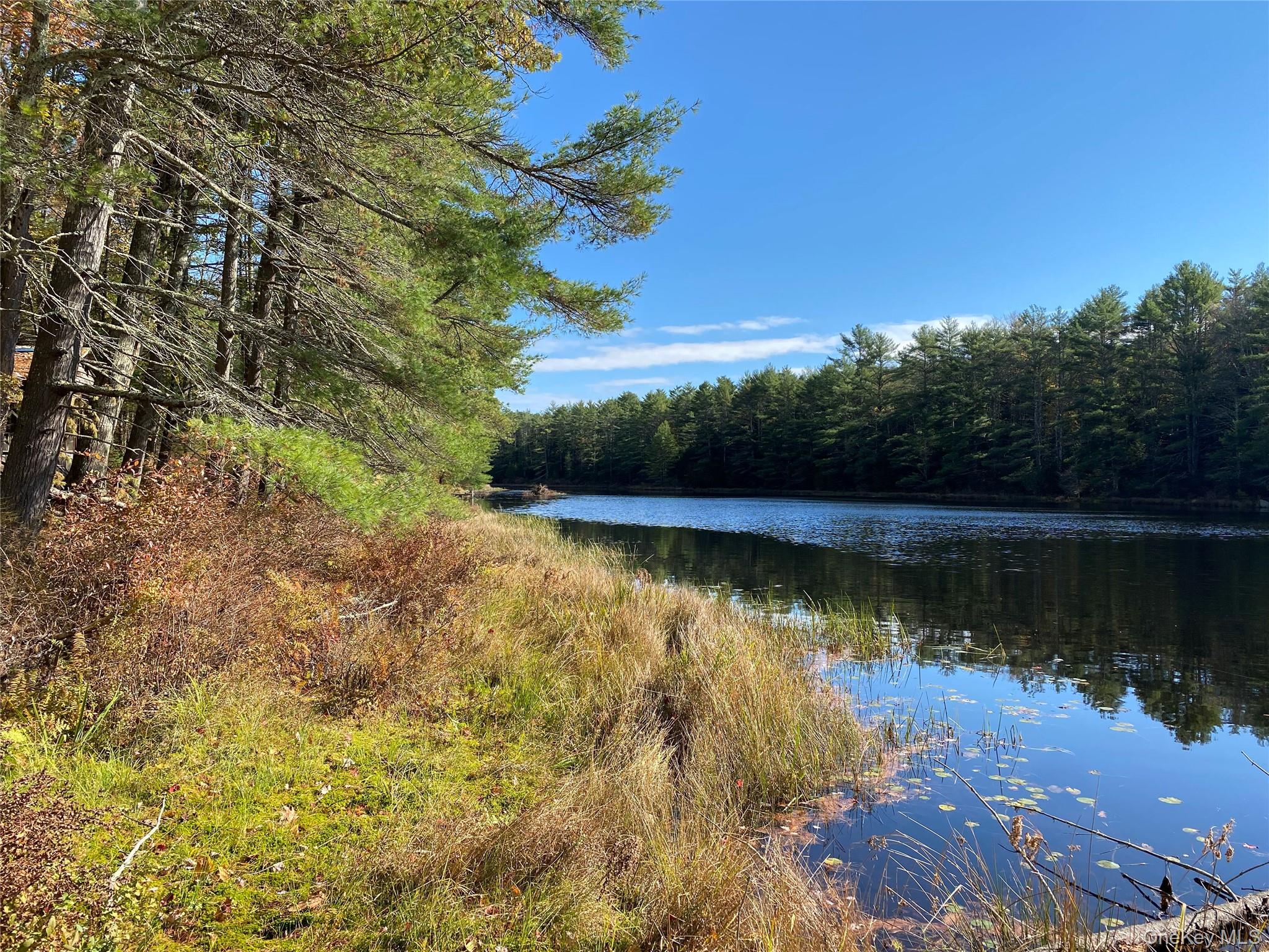 Stag Forest Road Forestburgh, NY 12777 - Photo 19 of 33 a view of a lake with outdoor space