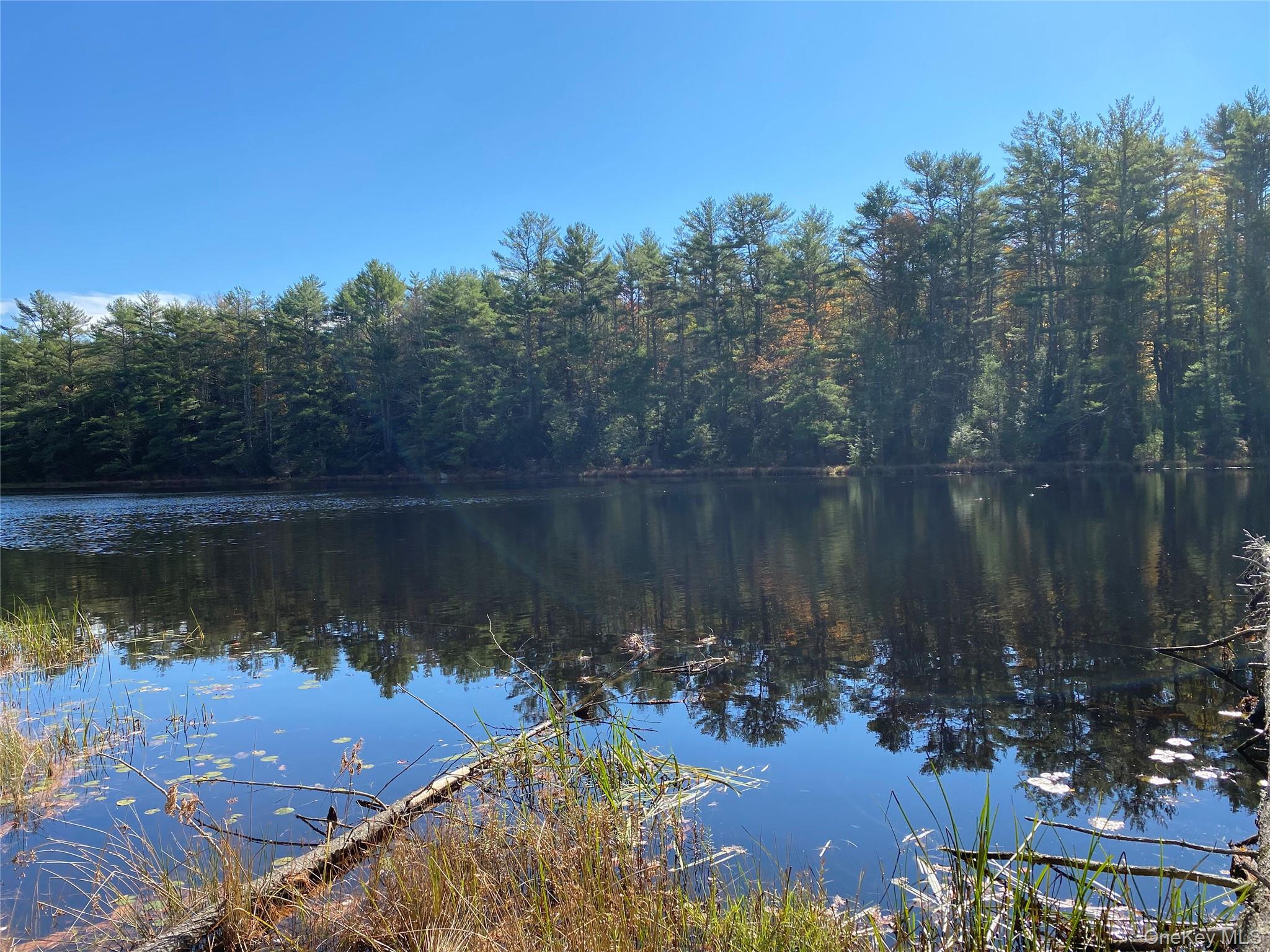 Stag Forest Road Forestburgh, NY 12777 - Photo 20 of 33 a view of a lake with a house in the background