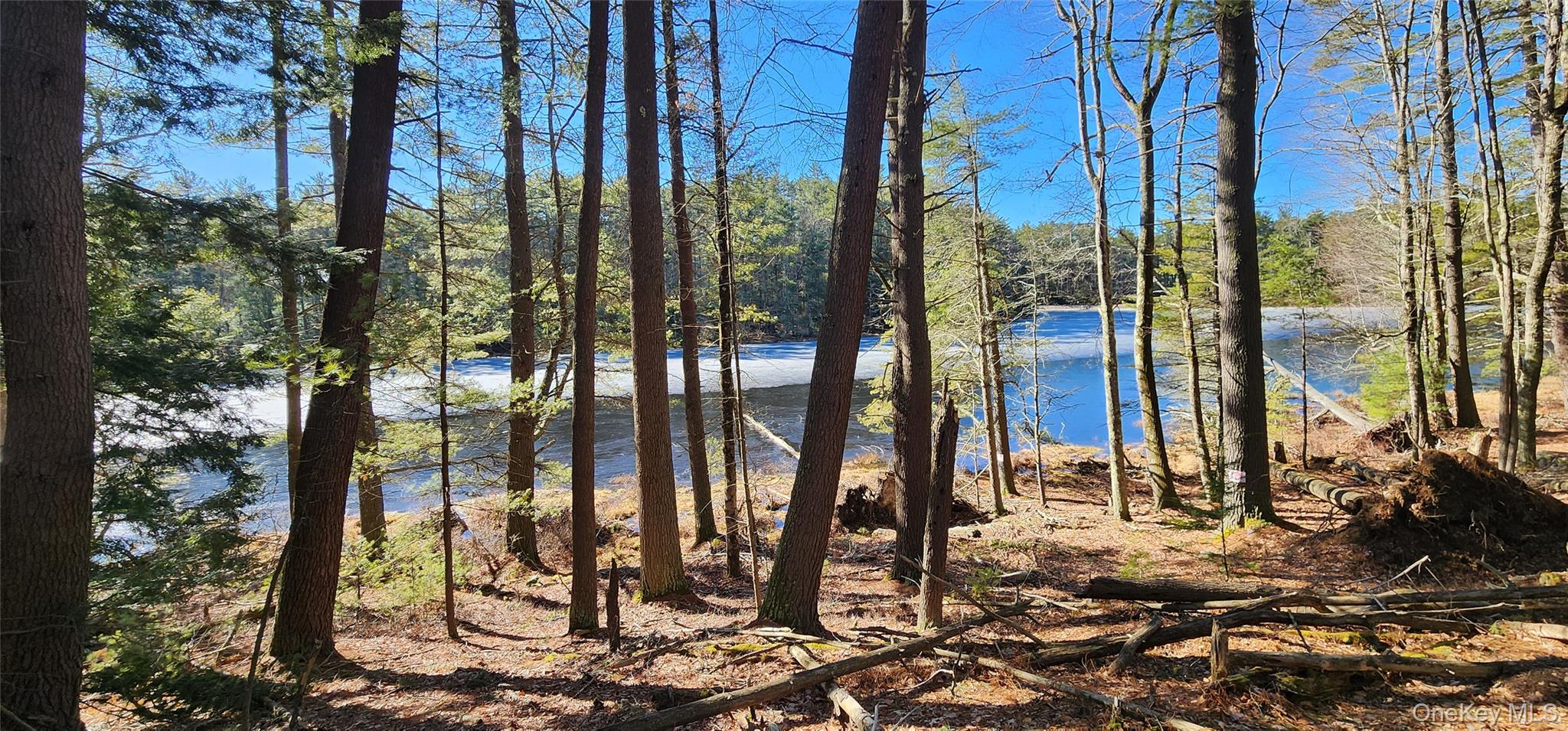 Stag Forest Road Forestburgh, NY 12777 - Photo 2 of 33