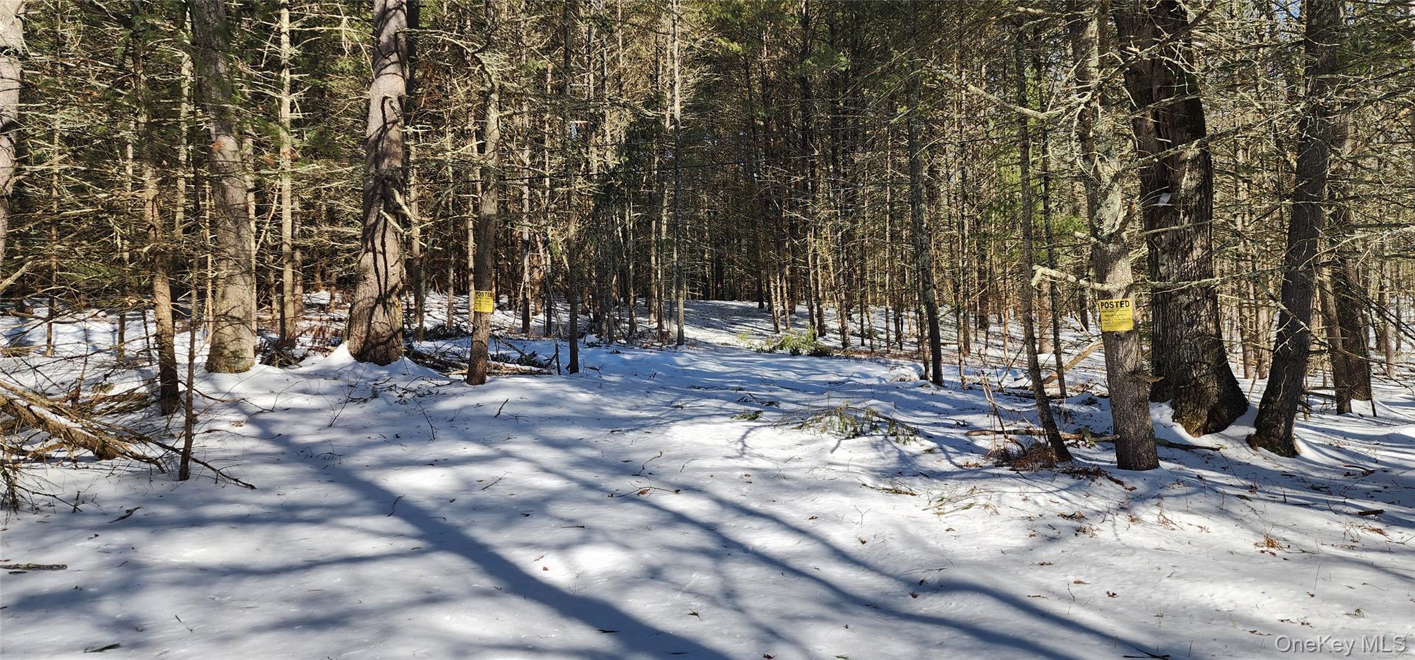 Stag Forest Road Forestburgh, NY 12777 - Photo 21 of 33 a view of outdoor space with seating