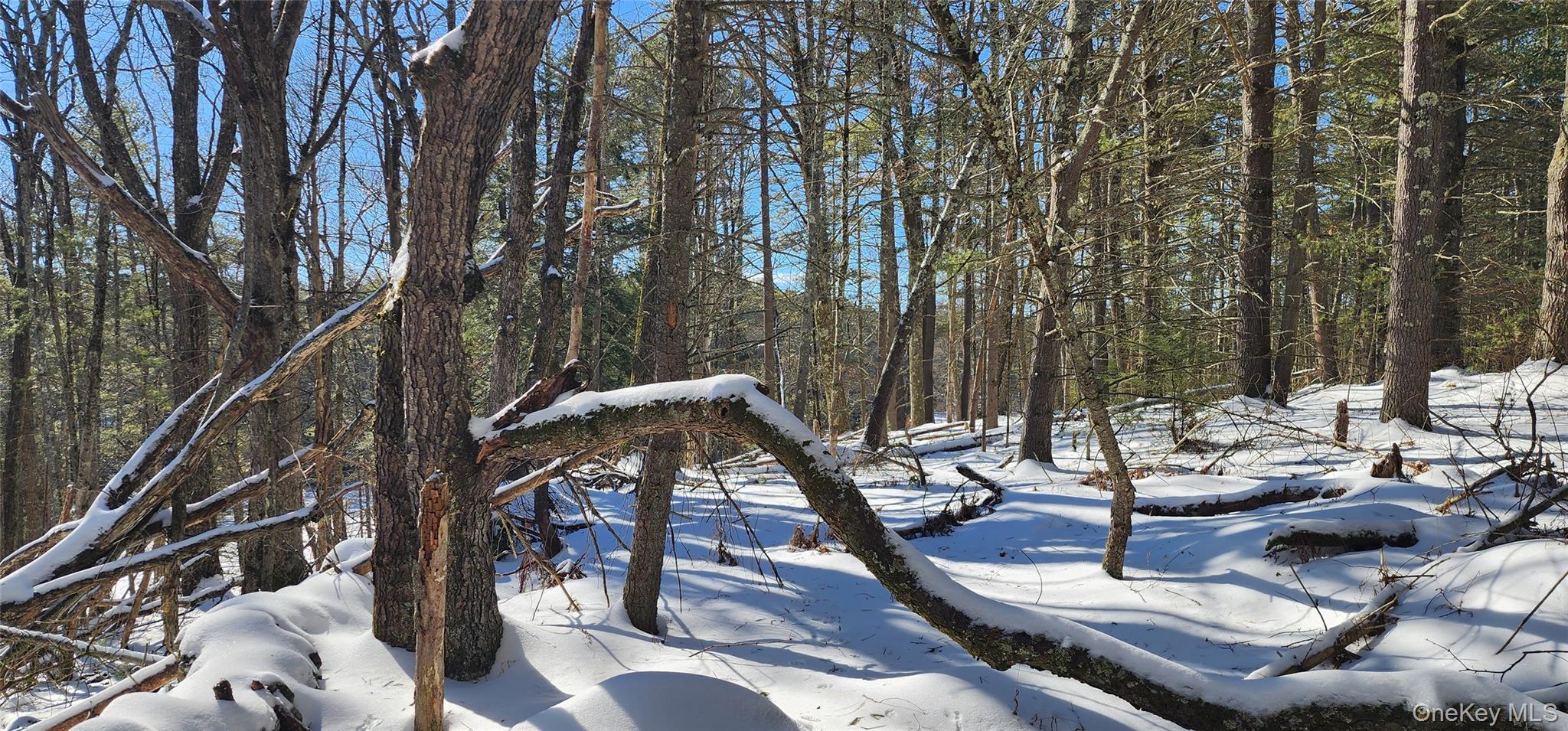 Stag Forest Road Forestburgh, NY 12777 - Photo 22 of 33 a view of a backyard with sitting area