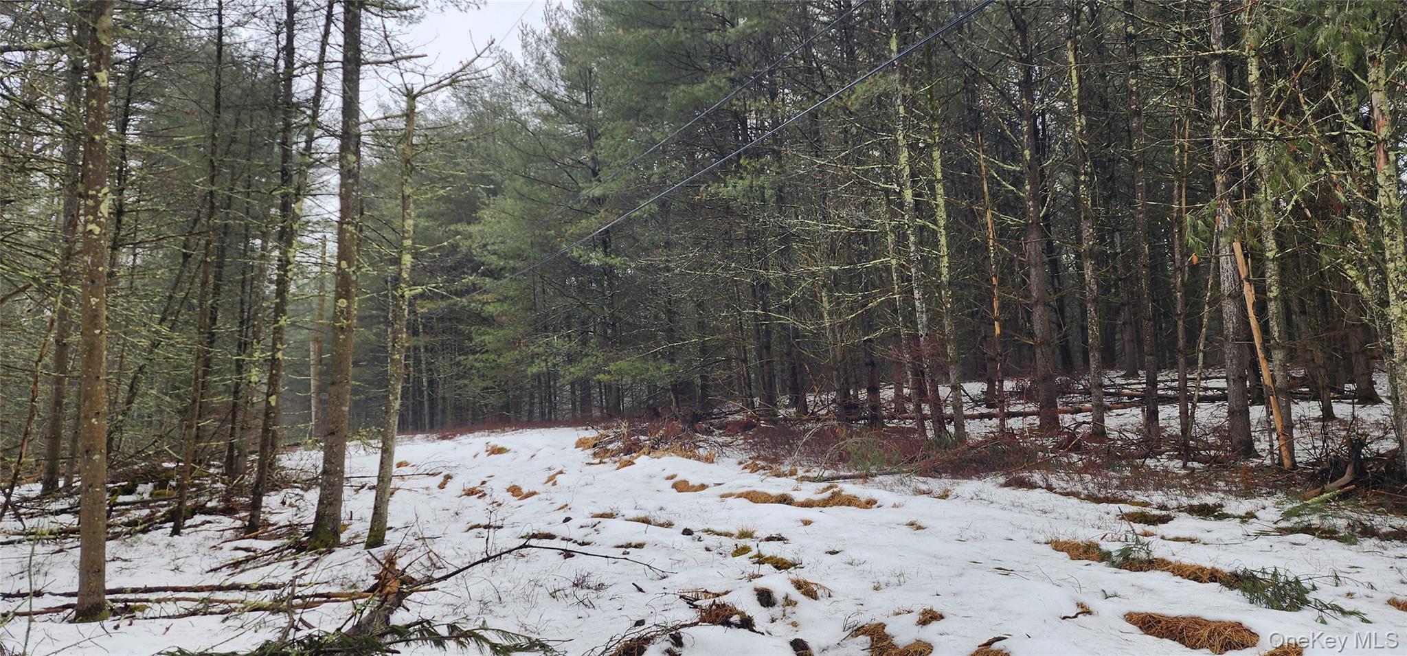 Stag Forest Road Forestburgh, NY 12777 - Photo 24 of 33 a view of wooden fence and trees