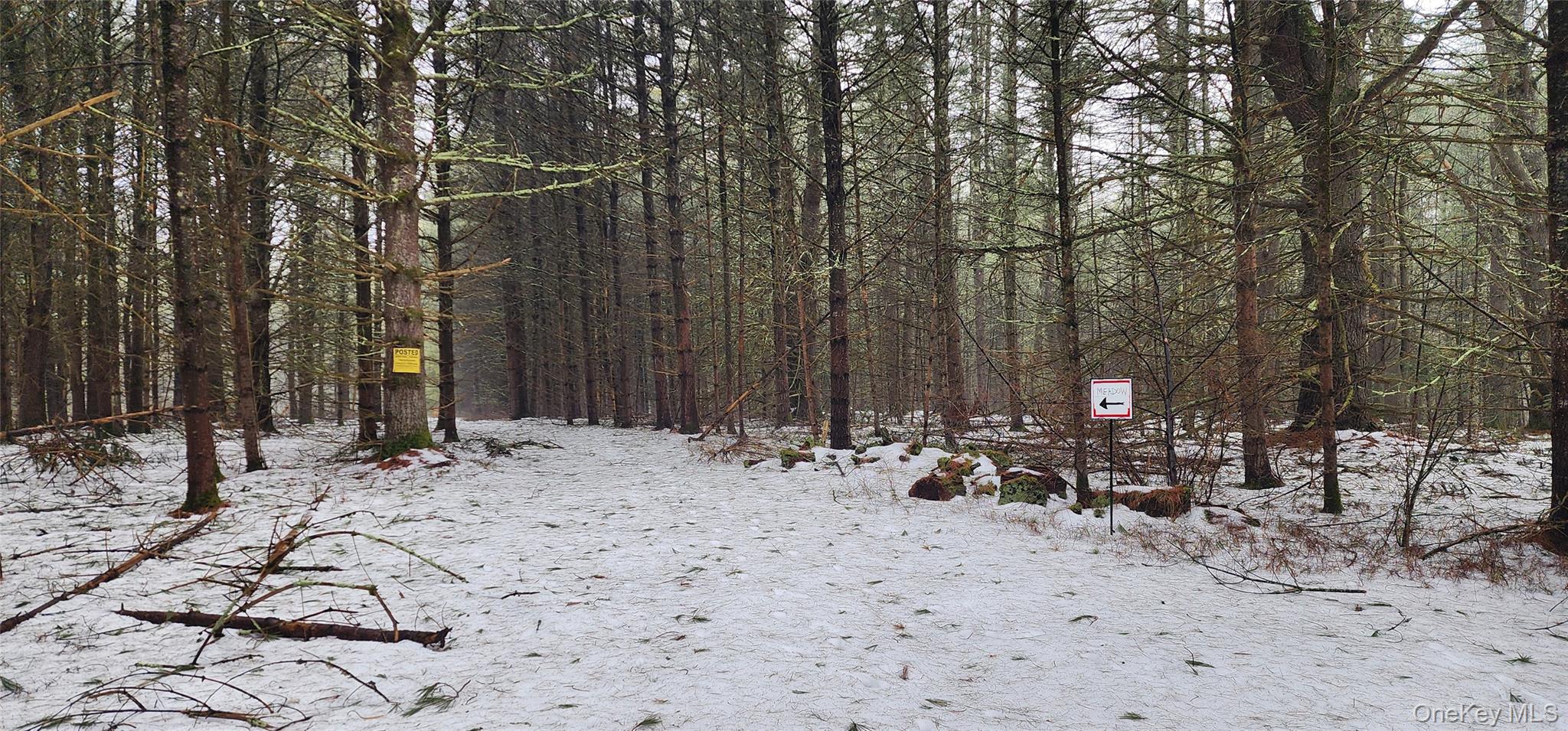 Stag Forest Road Forestburgh, NY 12777 - Photo 25 of 33 a view of outdoor space with chairs