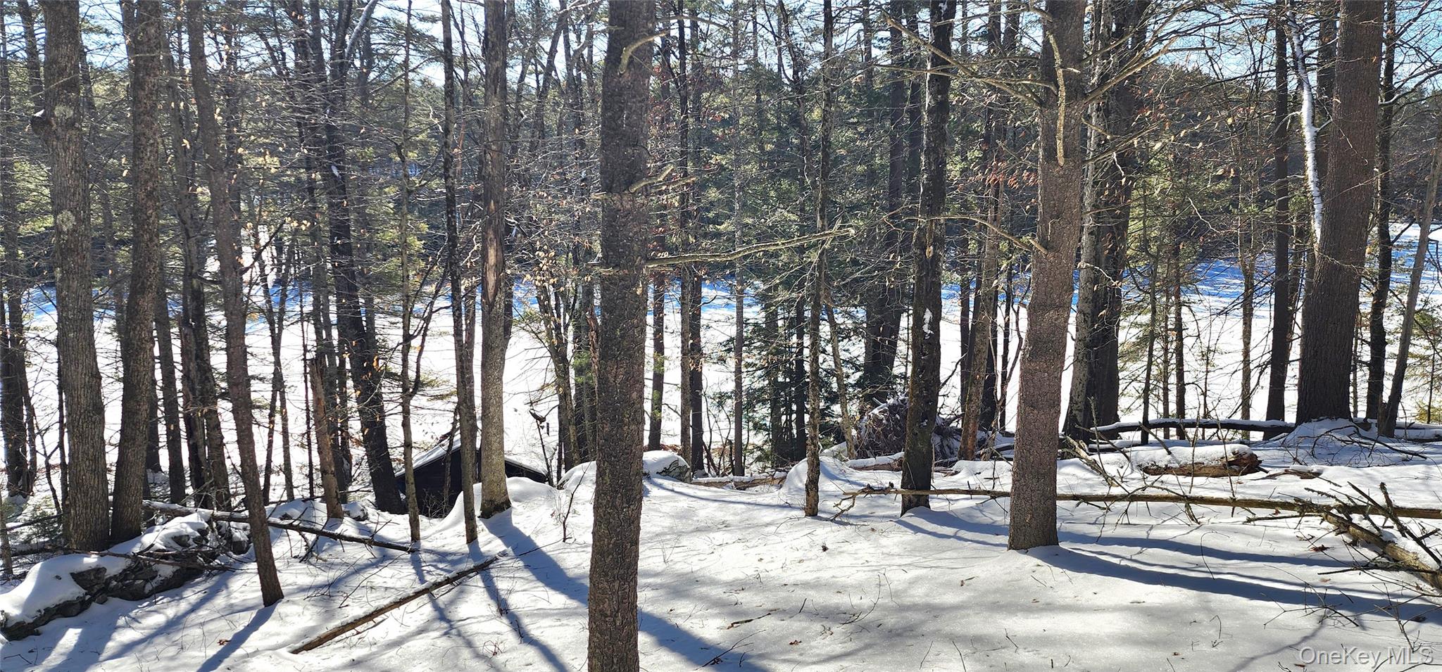 Stag Forest Road Forestburgh, NY 12777 - Photo 26 of 33 a view of outdoor space with seating area