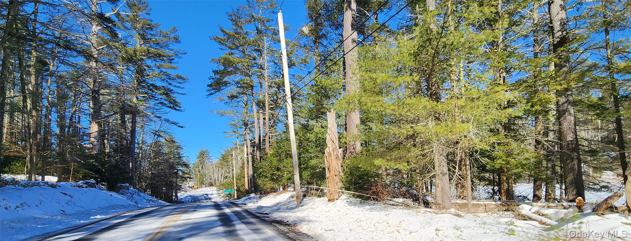 Stag Forest Road Forestburgh, NY 12777 - Photo 27 of 33 a view of a backyard with plants