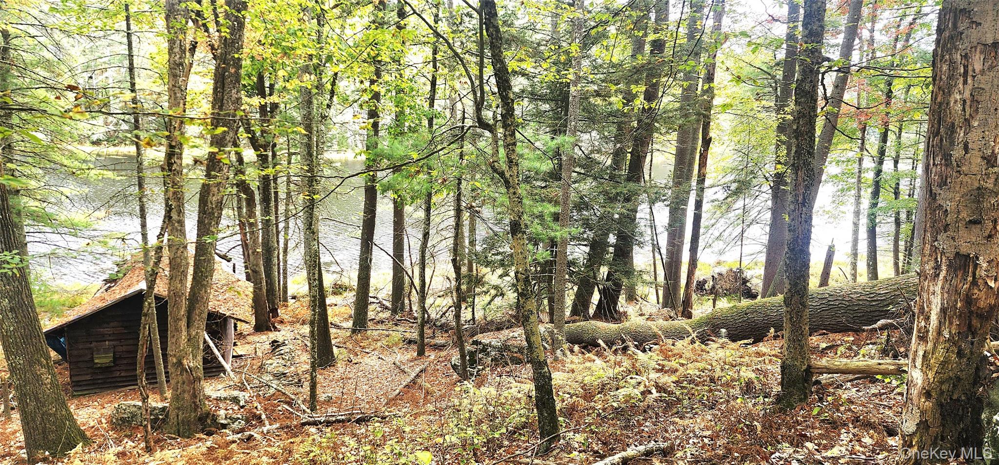 Stag Forest Road Forestburgh, NY 12777 - Photo 28 of 33 a view of outdoor space yard and patio