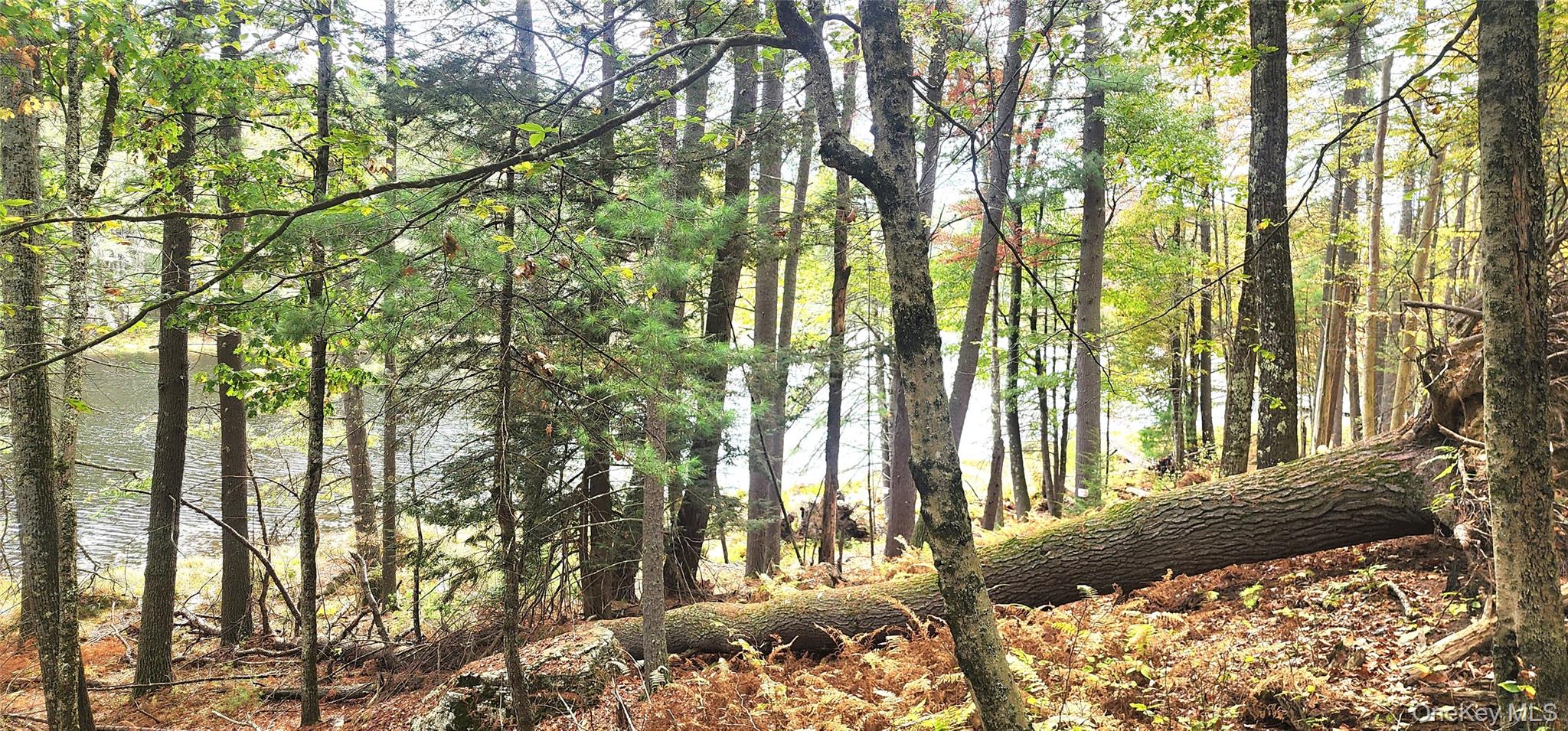 Stag Forest Road Forestburgh, NY 12777 - Photo 29 of 33 a view of outdoor space and yard