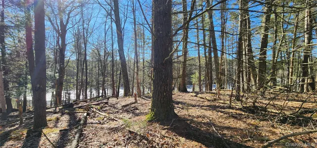 a view of a outdoor space