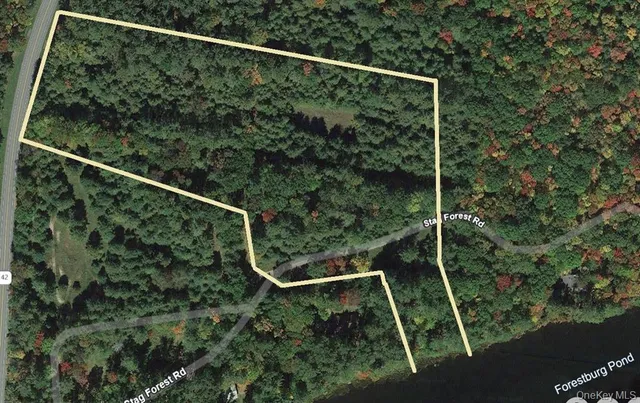 $135,000 | Stag Forest Road, Forestburgh, NY 12777